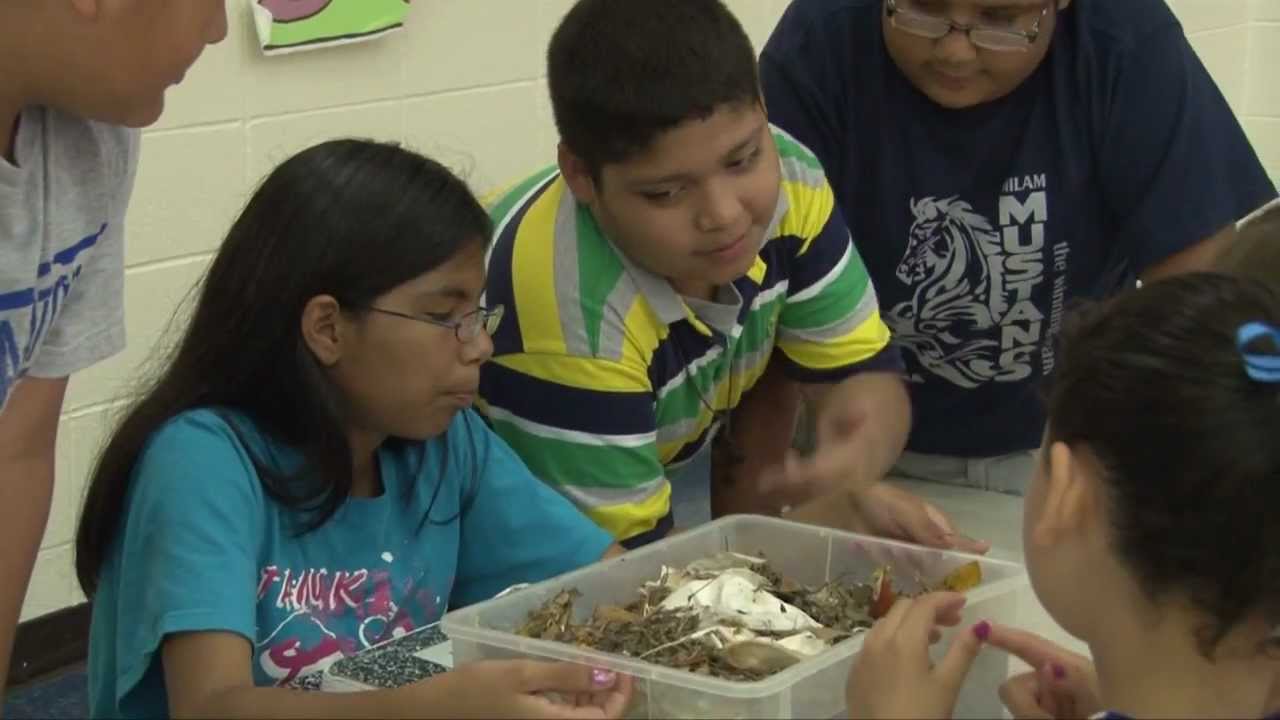 Ben Milam Elementary Sicence Day