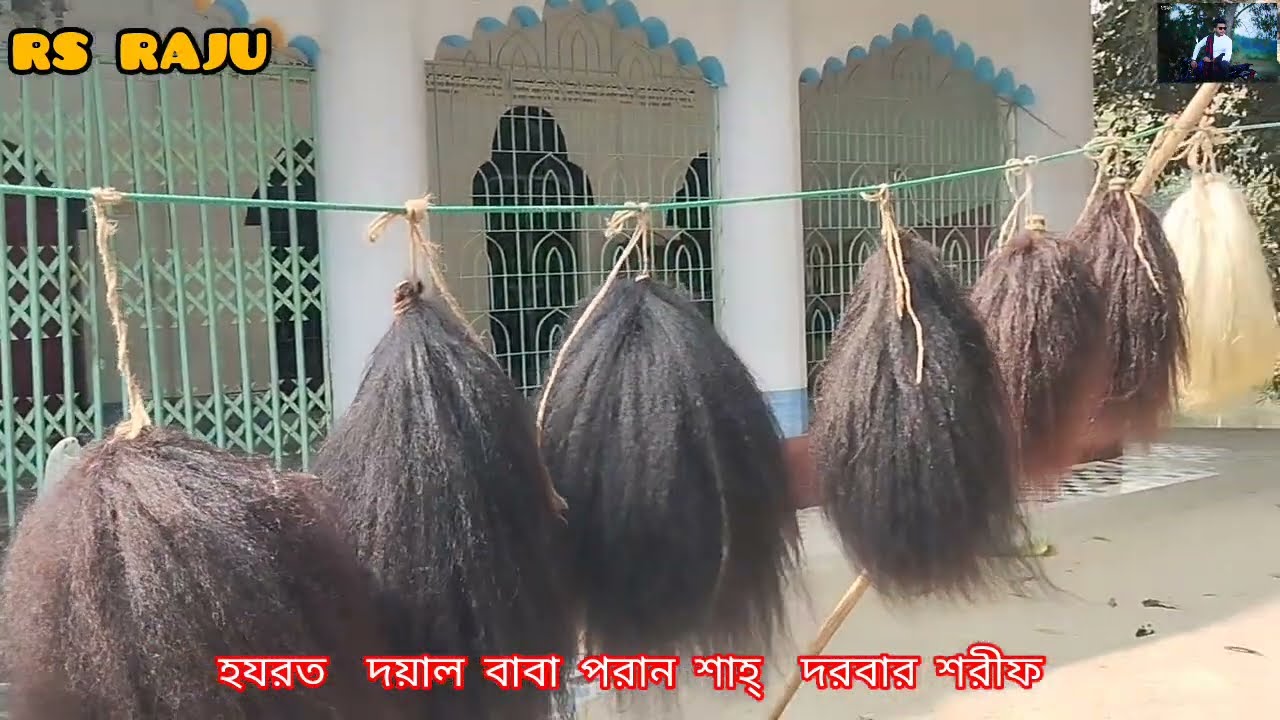 পরান শাহ্ ফকির বাড়ি মাজার শরীফ বাঁশ কাটা সময়  ২০২৬ সাল ভিডিও  দেখতে ভুল করবেন না 