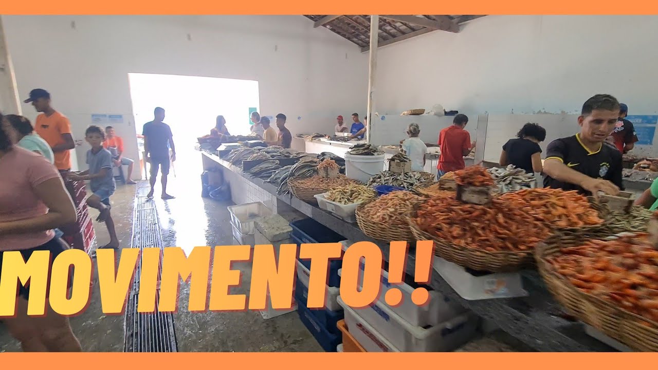 Feira Animada!! #vlog #video #nordeste