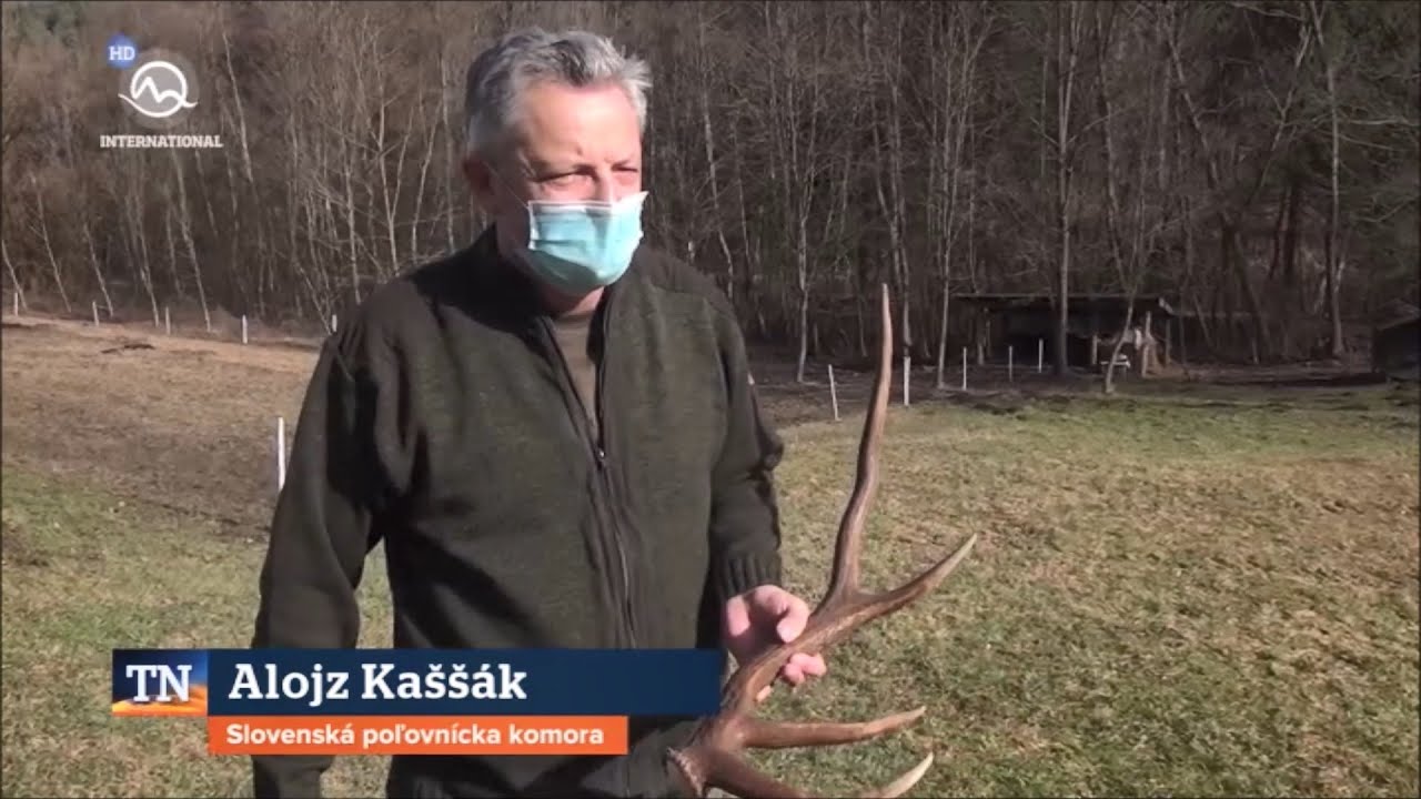 Reportáž TV Markíza: Zlodeji parožia