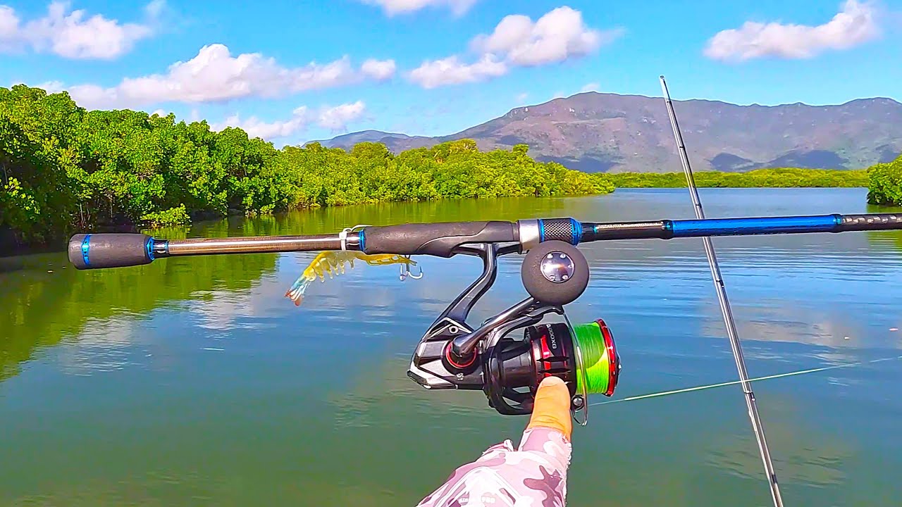 Fishing Setup for Saltwater (Barramundi & Mangrove Jack on the Flats)