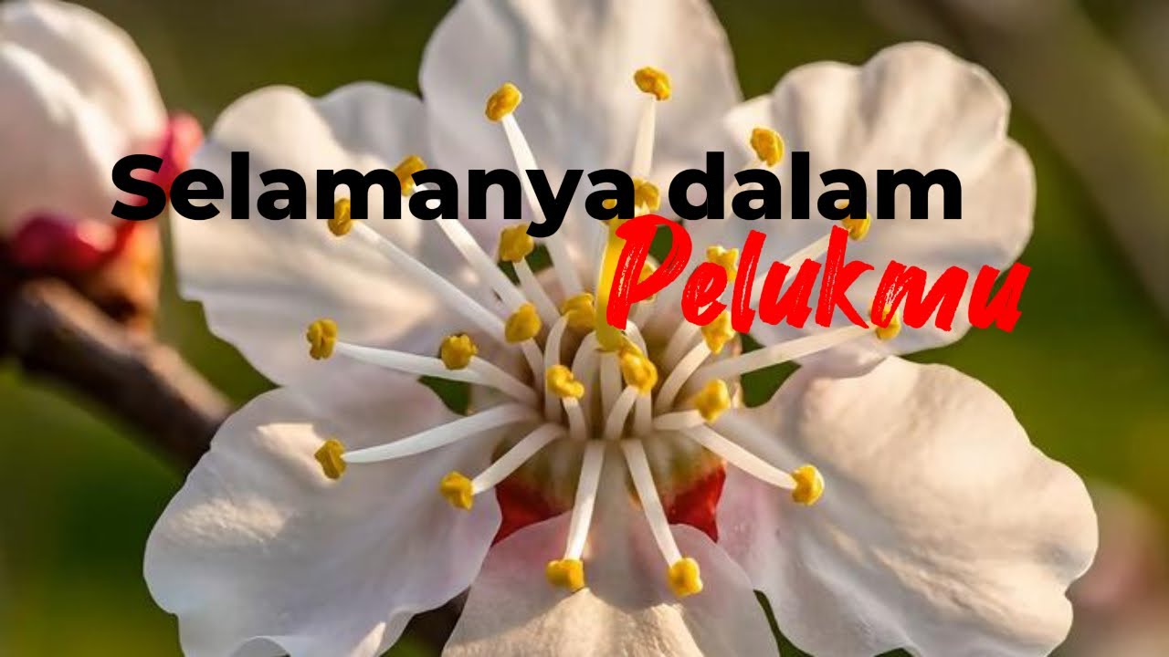 Selamanya Dalam Pelukmu | Lagu Reggae Santai Romantis