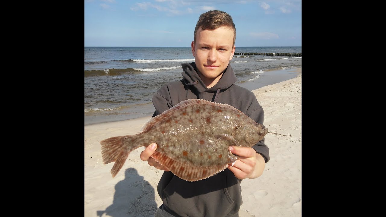 Metody i techniki połowu fląder z plaży-WĘDKARSTWO-SURFCASTING