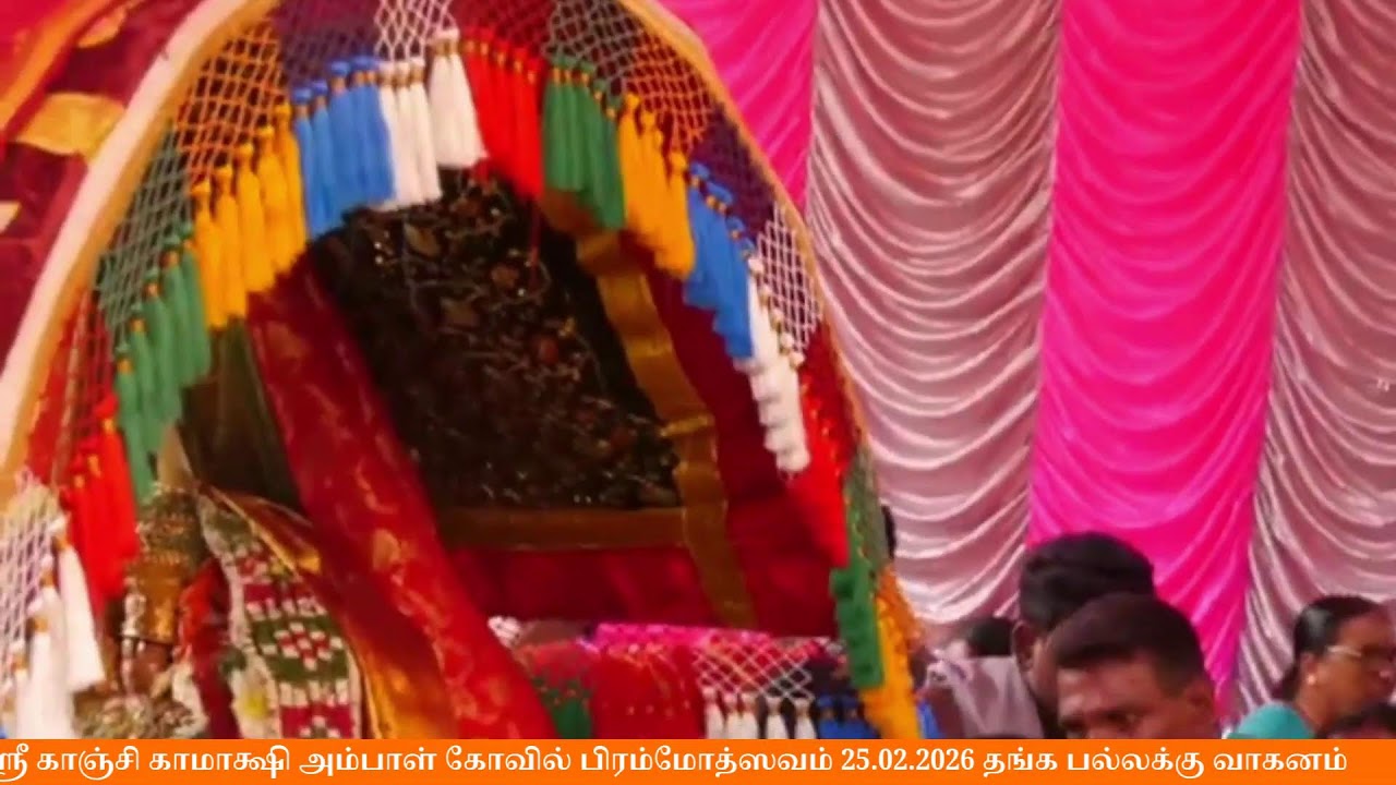 ஸ்ரீ காஞ்சி காமாக்ஷி அம்பாள் கோவில் பிரம்மோத்ஸவம் 25.02.2026 தங்க பல்லக்கு