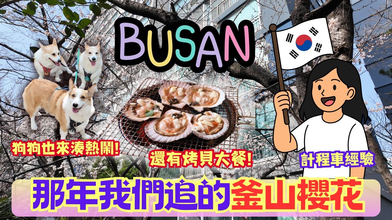 釜山追櫻日記🌸｜海雲台迎月路 x 清沙浦烤貝｜沒遇見盛開，卻看見幸福的另一種樣子💫