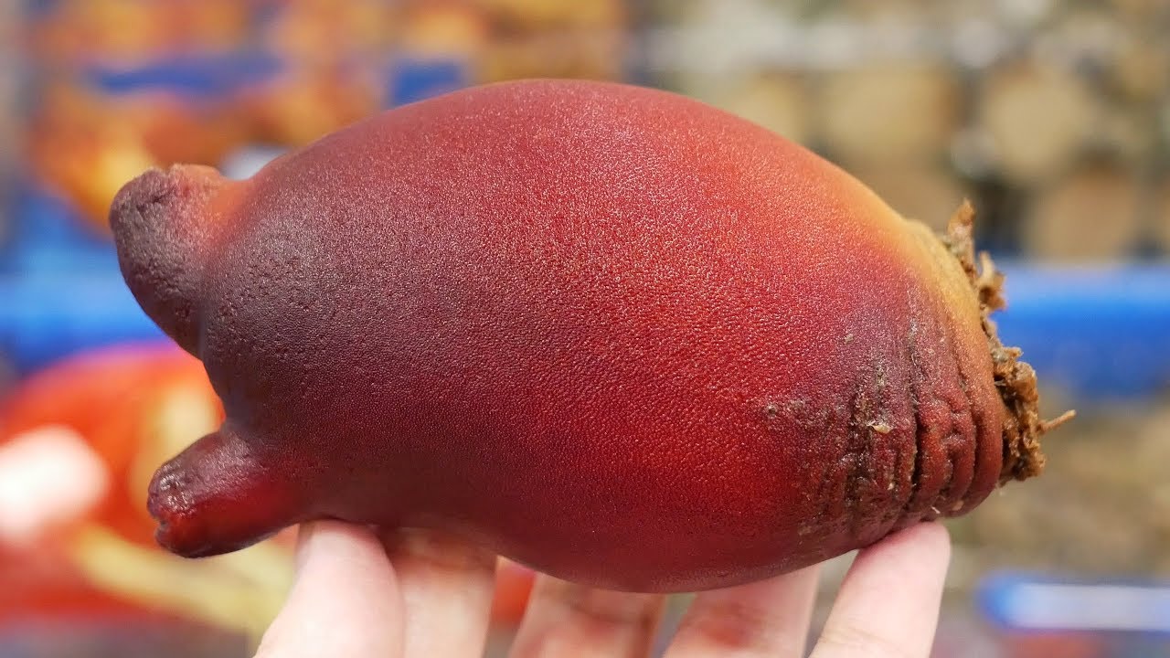 Морская Шприц Сашими │ Морепродукты в Корее