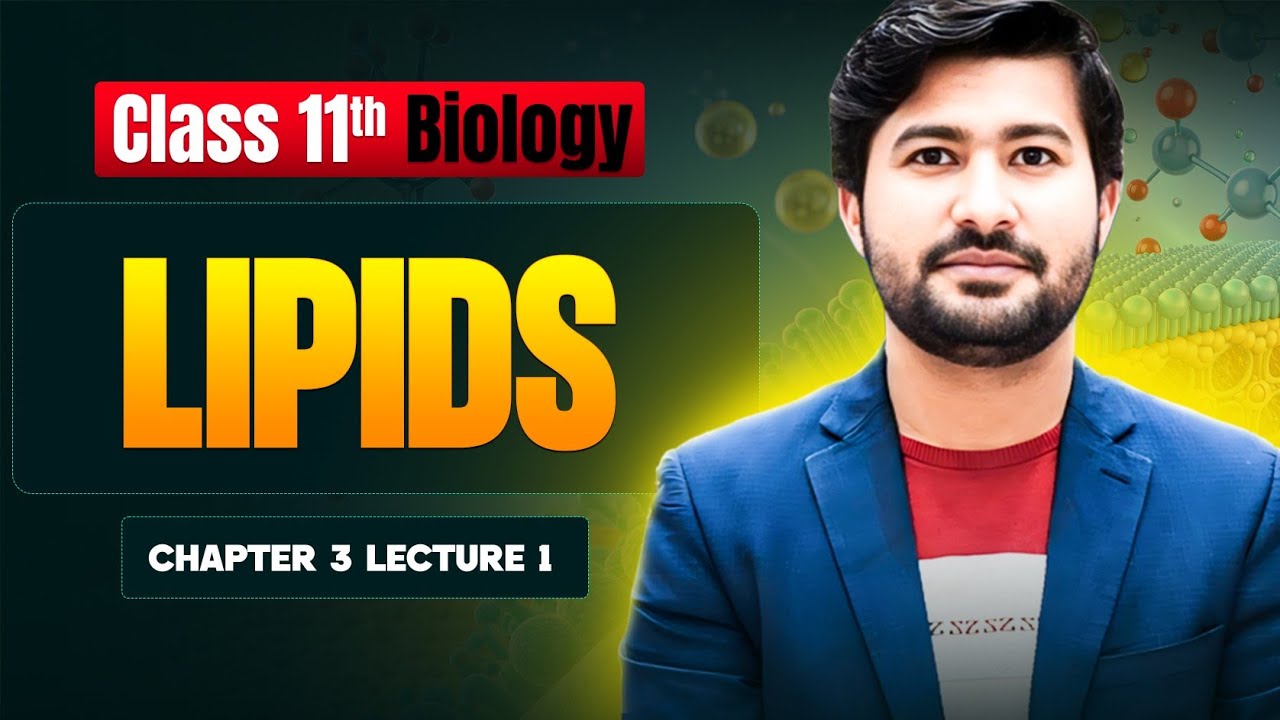 Lipids class 11 biology chapter 3 | irtisams biology