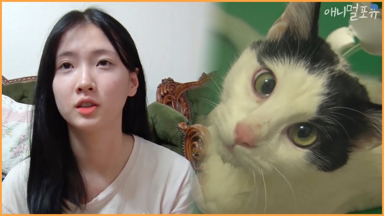 [동물다큐 풀버전] 뇌성마비 고양이와 상처받은 아이가 만나 사랑하는 법｜뇌성마비 고양이 우리 미래, KBS방송