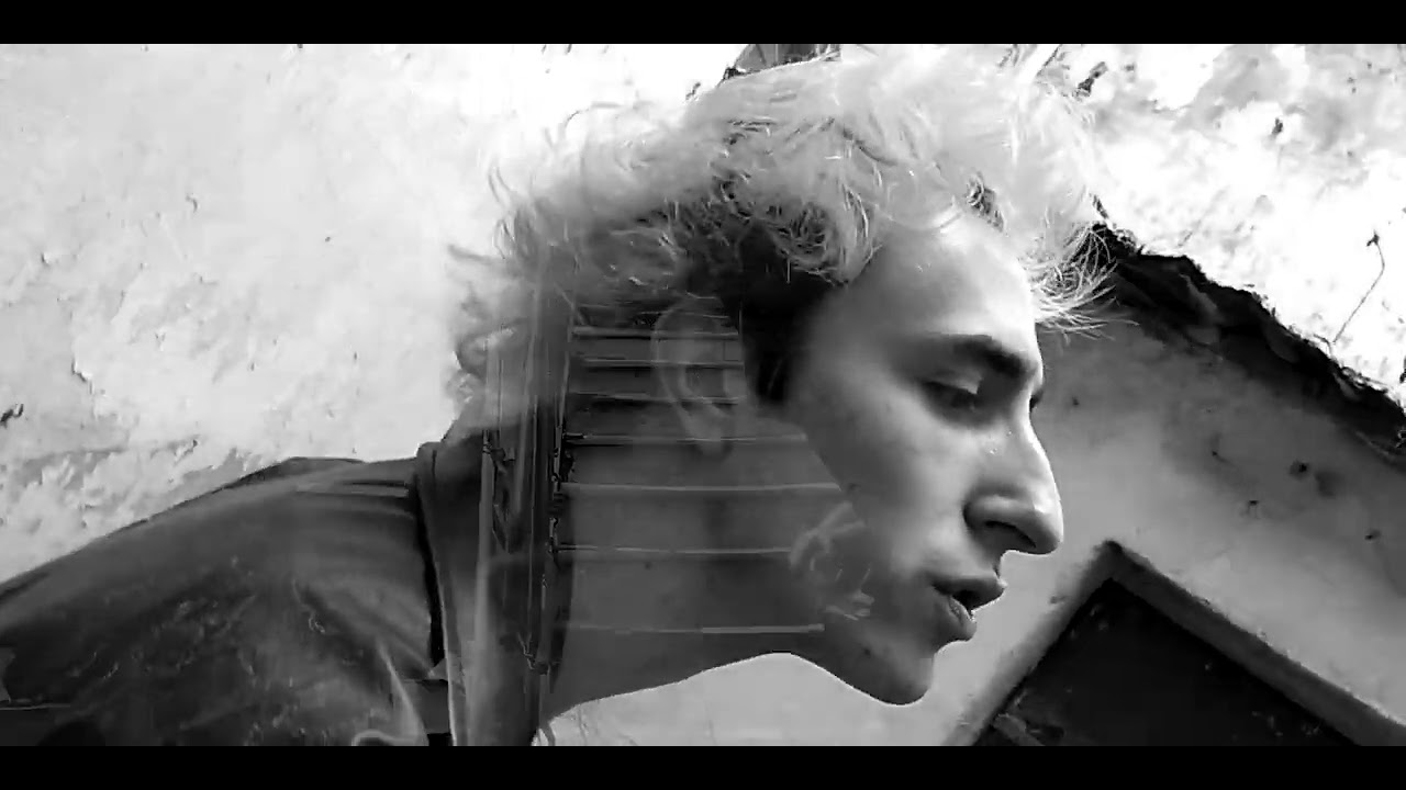 Red Flowers - You Have Reflexions (Official Video)