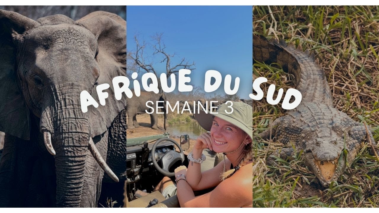 VLOG: La troisième semaine de mon aventure dans la savane africaine 🦎