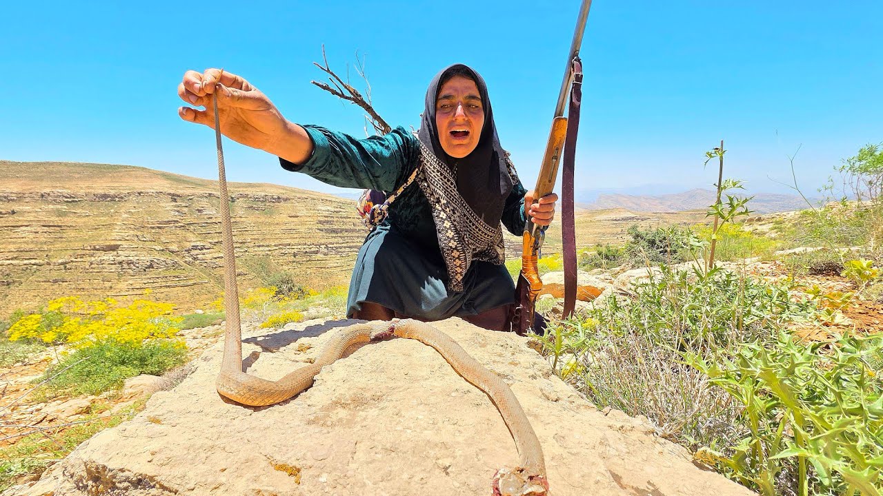 🐍⛰️ Miraculous Rescue of a Nomadic Woman from a Venomous Mountain Snake