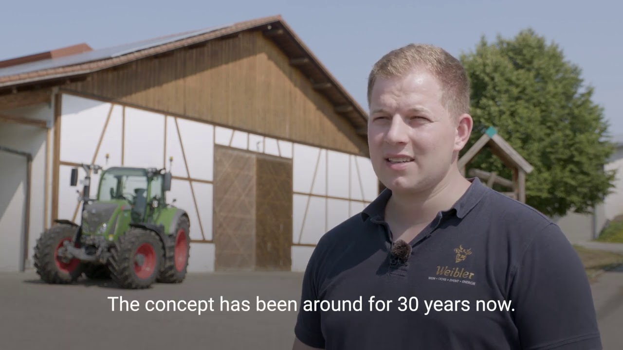 Working in the vineyard | Three 200 Varios of the Family business Weibler | Fendt