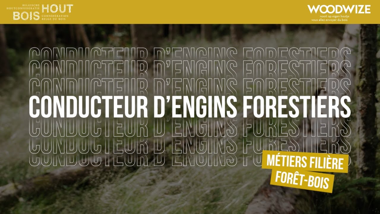 M&eacute;tiers fili&egrave;re for&ecirc;t-bois #11 Conducteur d'engins forestiers (porteur, d&eacute;busqueuse, abatteuse)
