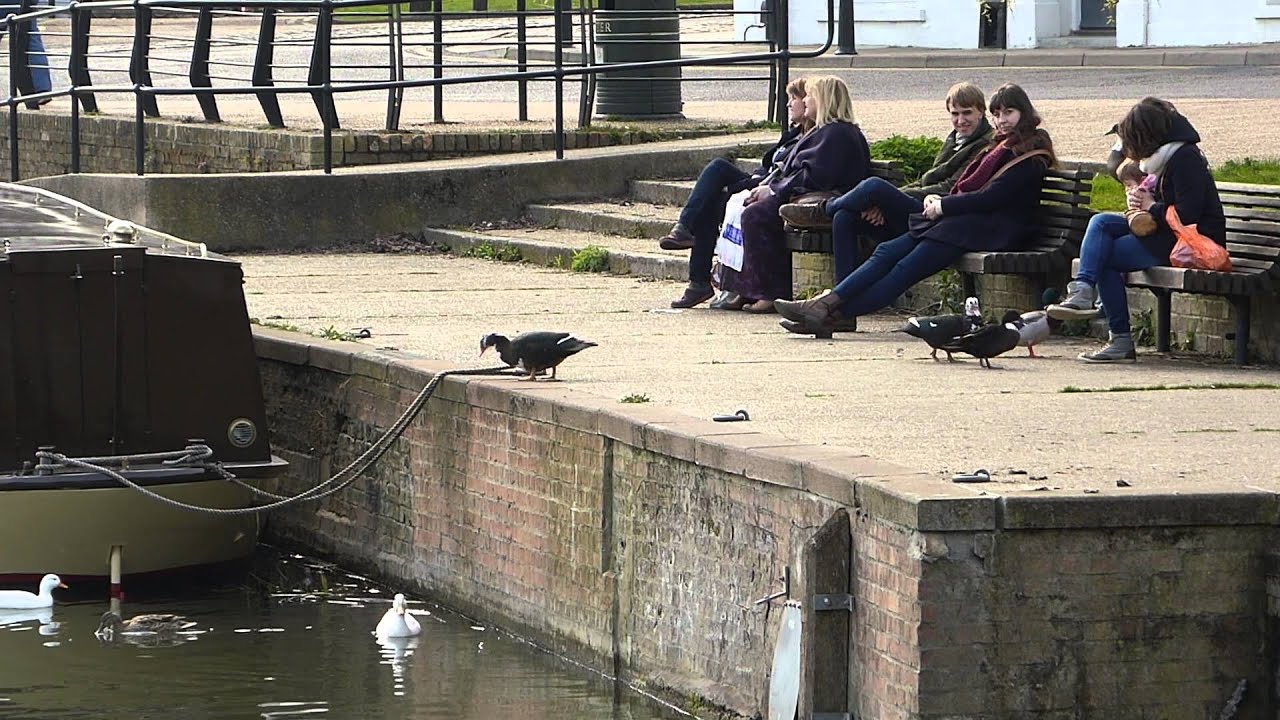 Panasonic TZ60 Full auto test - "Ely River Blues"