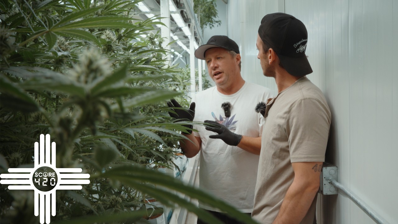 New Mexico Grown // Score420 x Enchanted Botanicals - Pt. 1