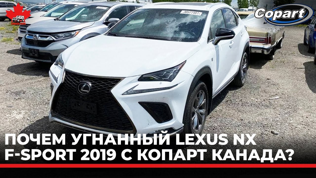 Почем угнанный Lexus NX F-Sport с Копарт Канада. Выход на Copart.
