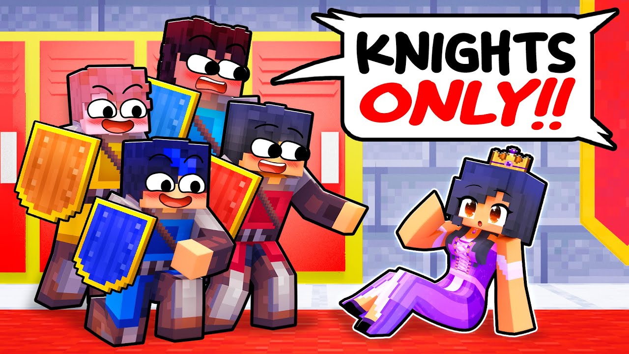 ONE PRINCESS in a KNIGHTS ONLY School!