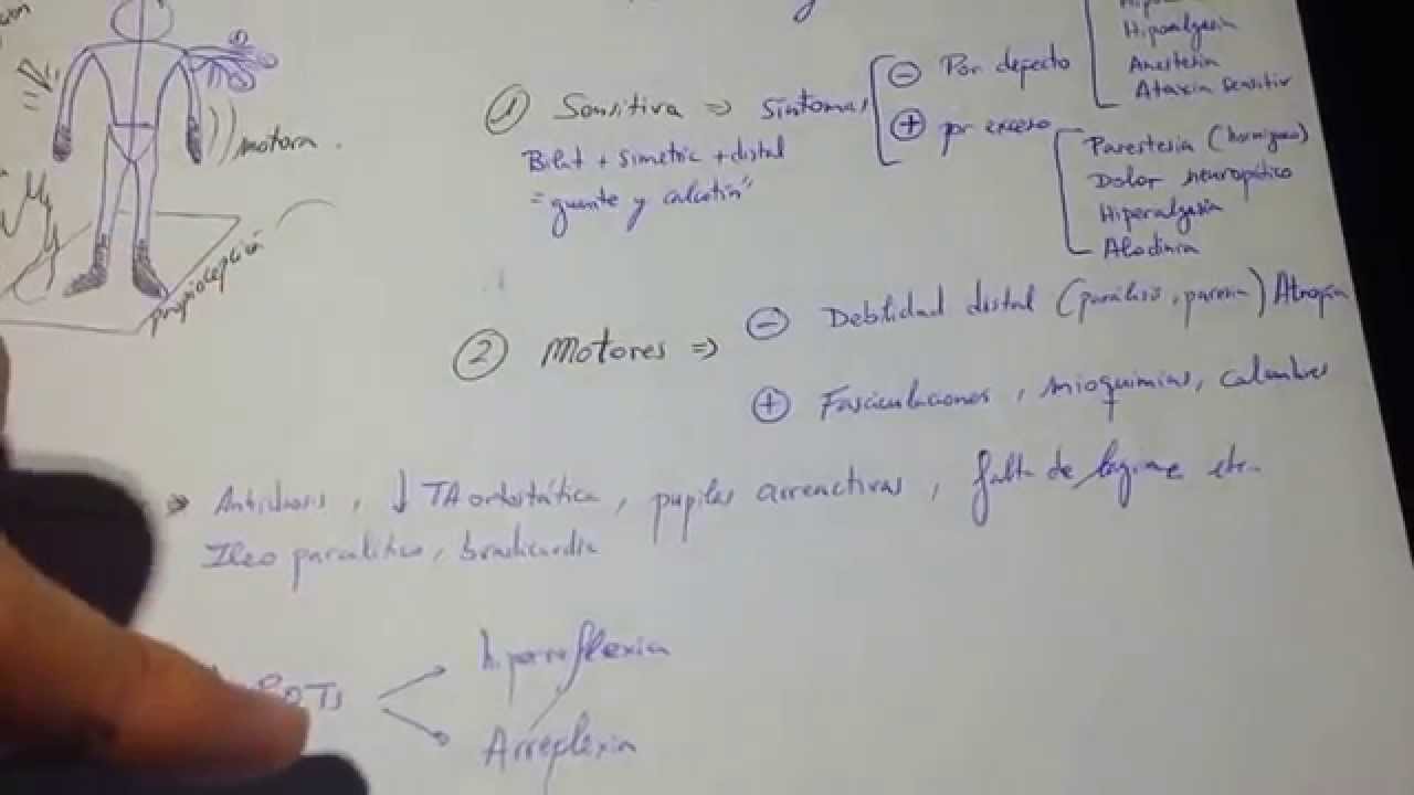 Polineuropatías ESQUEMA 1 FÁCIL