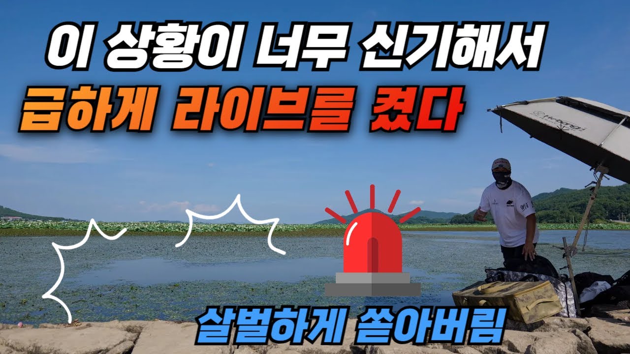 이런 신기한 상황에 급하게 라이브를 켰다