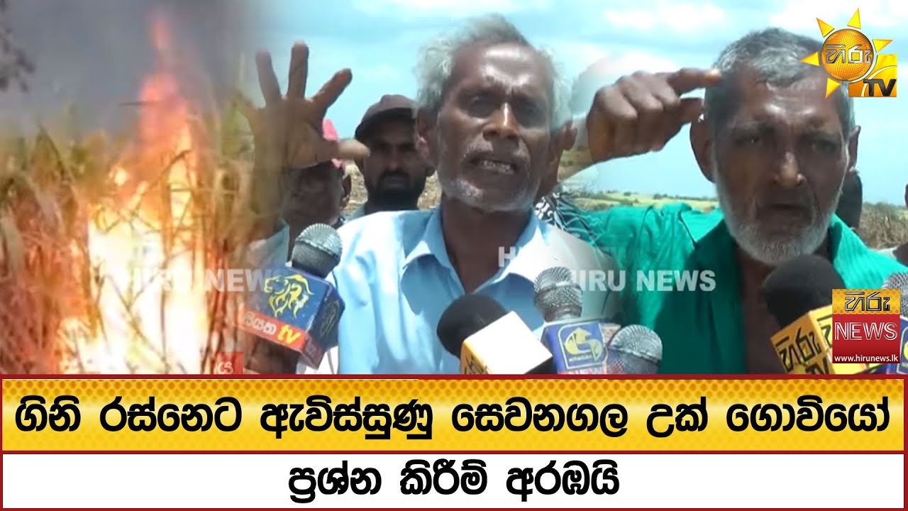 ගිනි රස්නෙට ඇවිස්සුණු සෙවනගල උක් ගොවියෝ - Hiru News