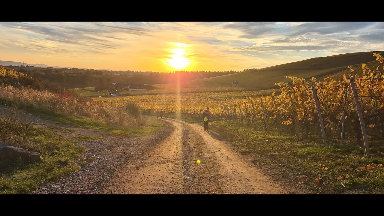 Little Mammut Rhein-Main 31.10.2020 / 55 KM