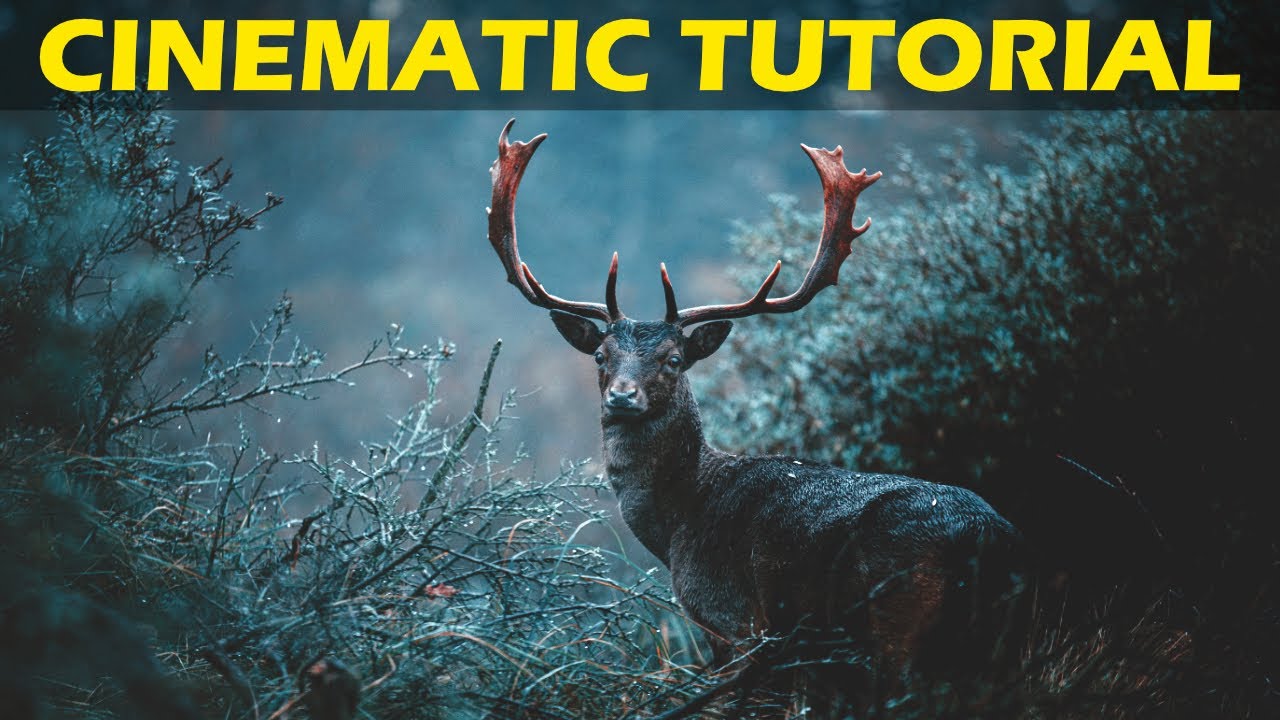 Как я создаю кинематографические 3D-фильмы с помощью Unreal Engine 5 — КИНЕМАТОГРАФИЧЕСКИЙ РАБОЧИ...