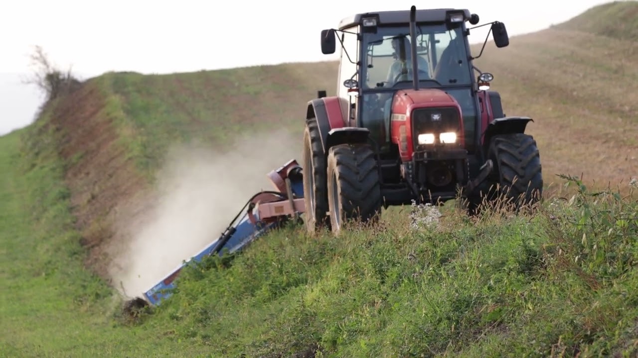 [4K] Massey Ferguson 4245 and Stark KDL 200 flail mower in action