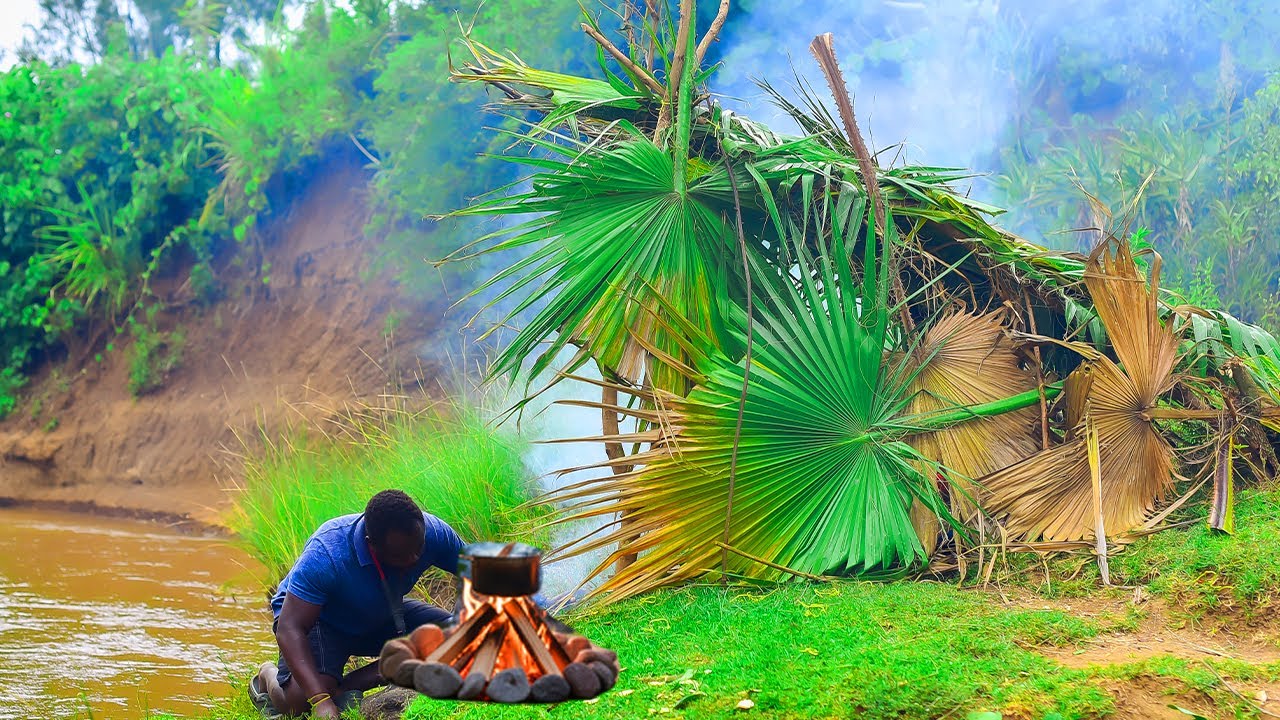 Solo Bushcraft Shelter Build and Wild Steak Cooking in Rainforest