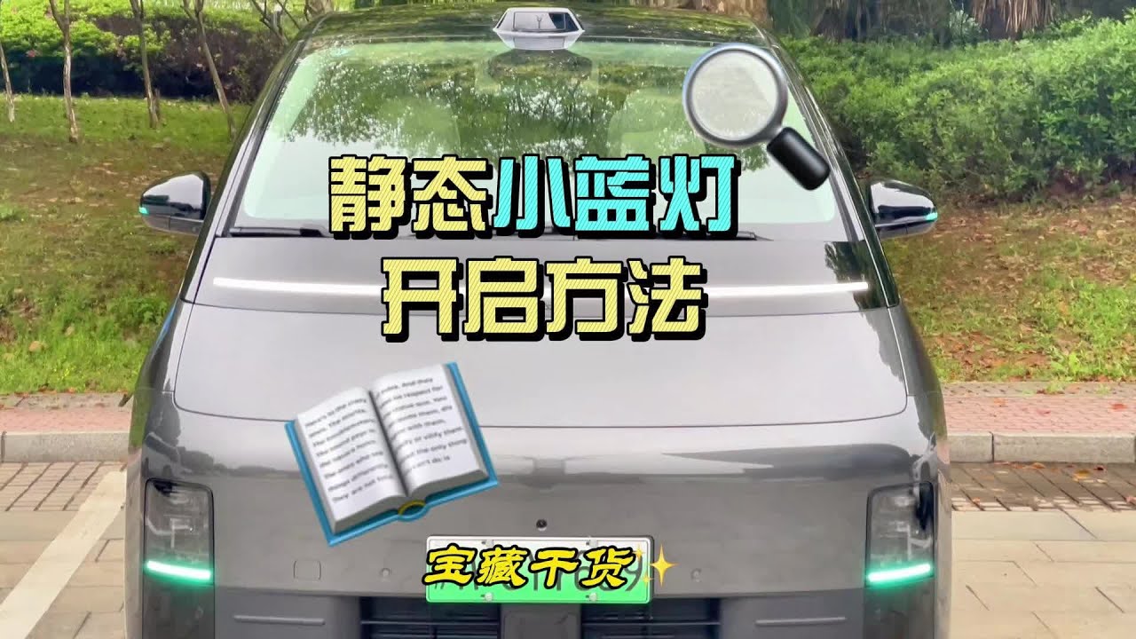 理想小蓝灯静态开启教程#理想汽车 #理想L9 #理想L8 #理想L7 #理想MEGA