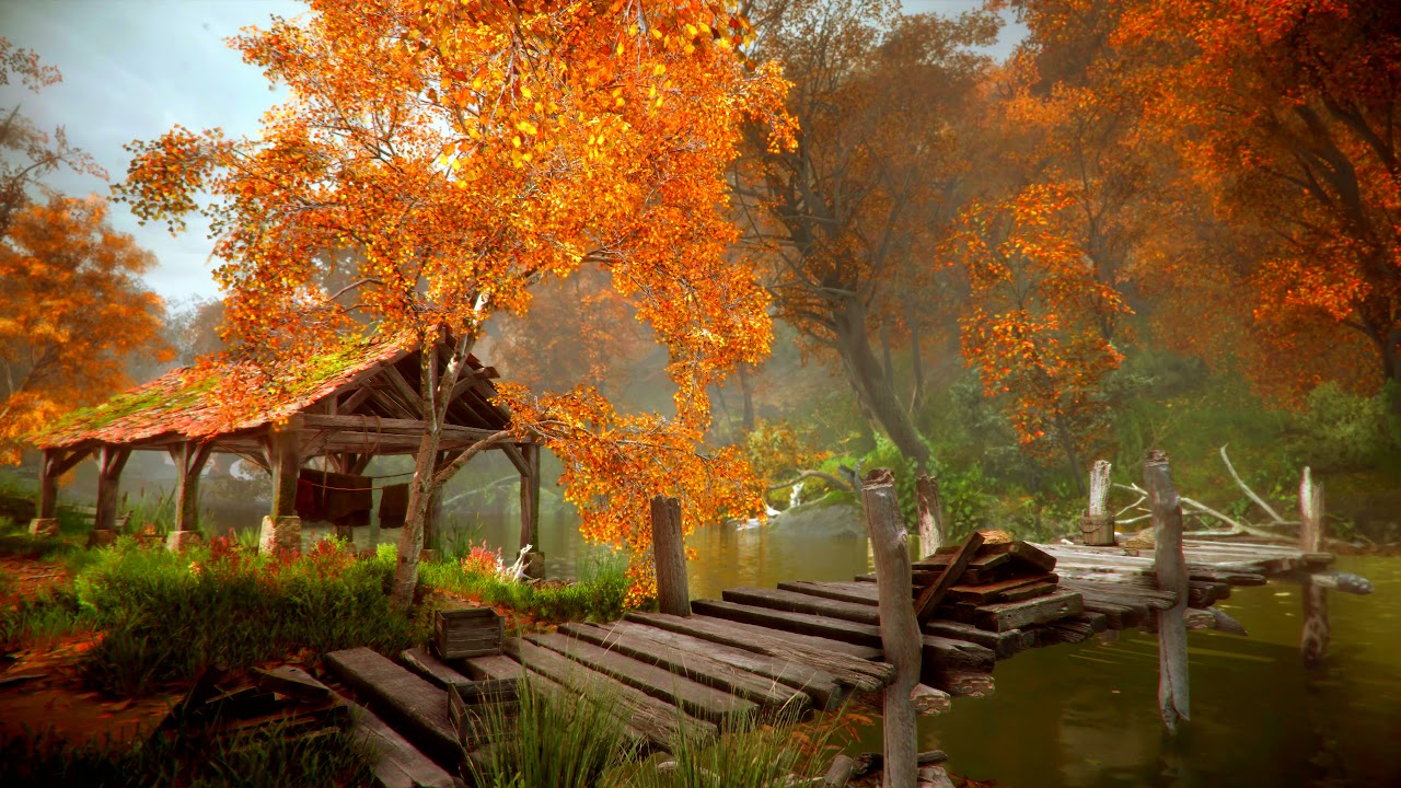 Autumn Forest by River Relaxing Ambience ASMR