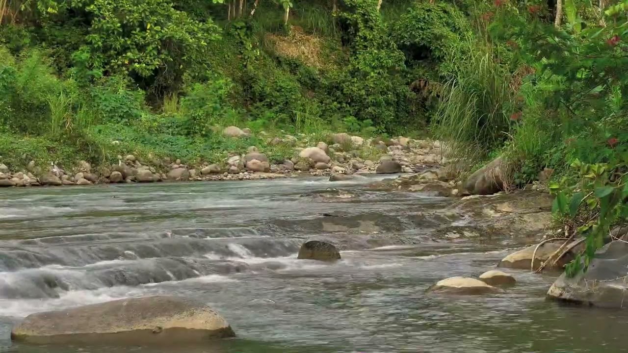 Soothing River Flow Ambience for Sleep and Restore Peace | Natural Water Sounds to Relax and Heal