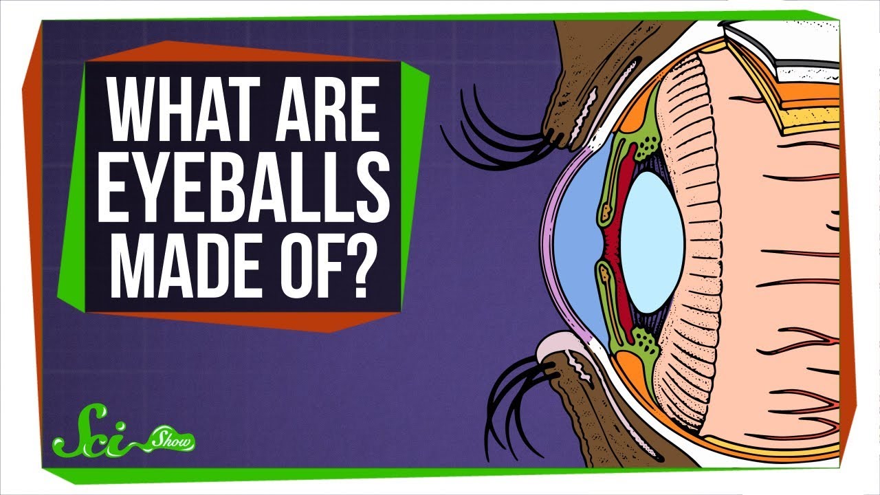 What Are Eyeballs Made Of?