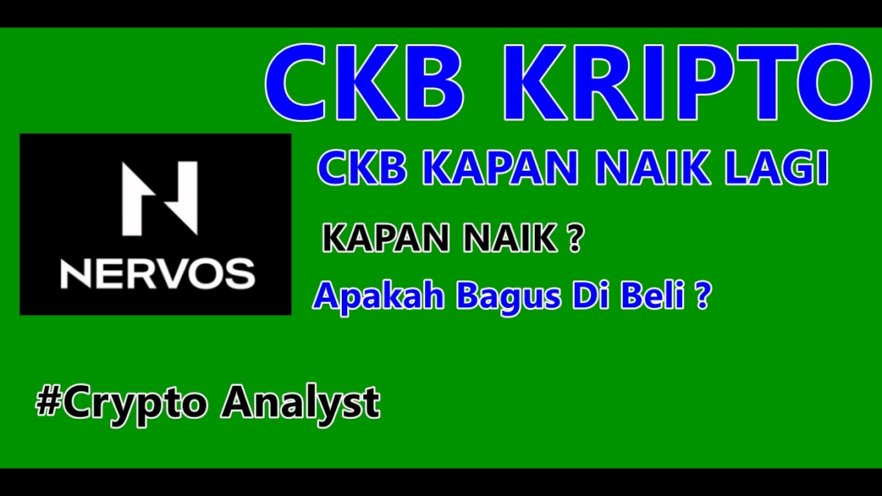 Прогноз CKB по криптовалютам: безопасно ли их покупать?