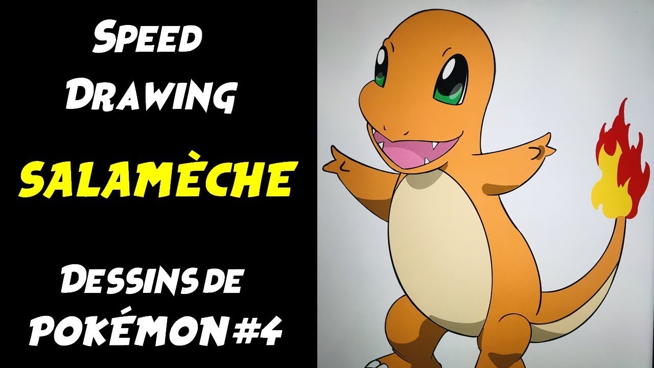 Speed Drawing SALAMECHE