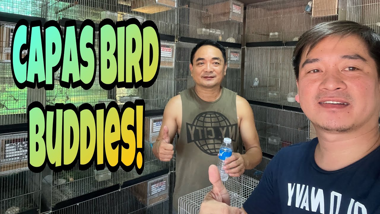 Aviary visit & DNA services @ RIC QUI AVIARY..