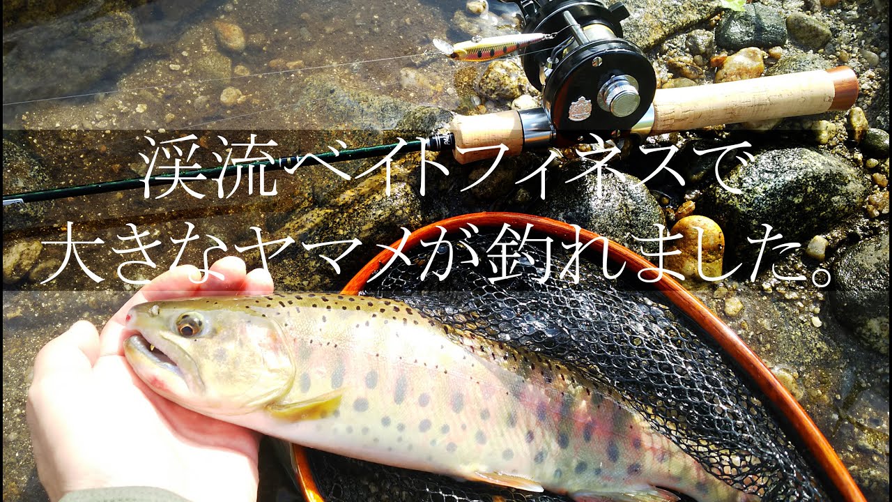 【ABU Ambassadeur 2500C】アンバサダー2500Cで渓流ベイトフィネス　大きなヤマメが追ってきてバイト！