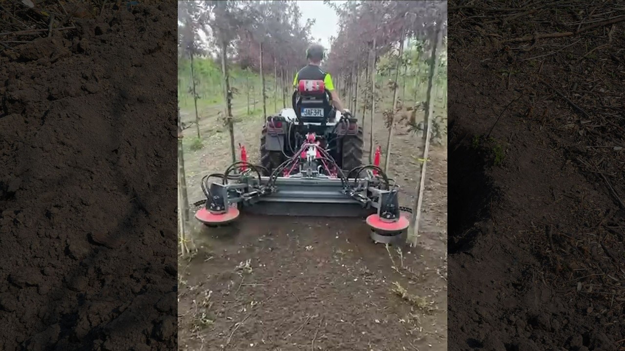 WEEDELETE&reg; Hoeing at rootball holes