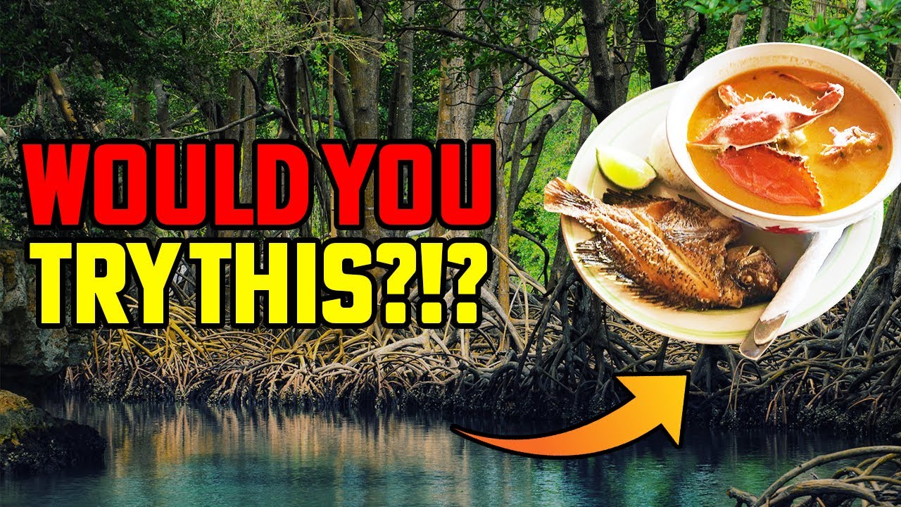 Rio Dulce Boat Trip Exploring Lake Izabal & Trying Tapado Soup!! 🇬🇹