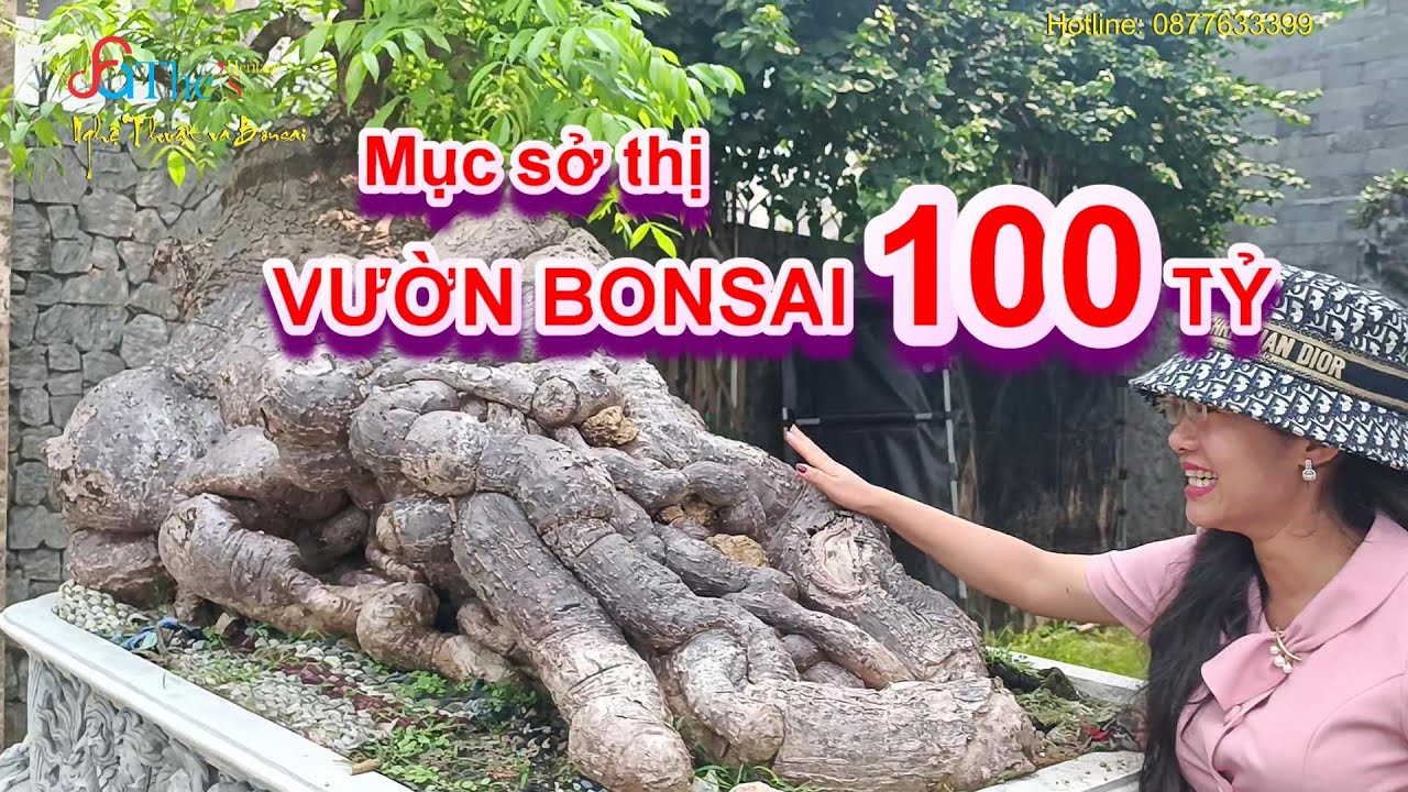 Kinh ngạc RỪNG Bonsai của Đại Gia Phương Mai Quảng Ngãi hơn 1000 cây có thừa thật sự đáng nể