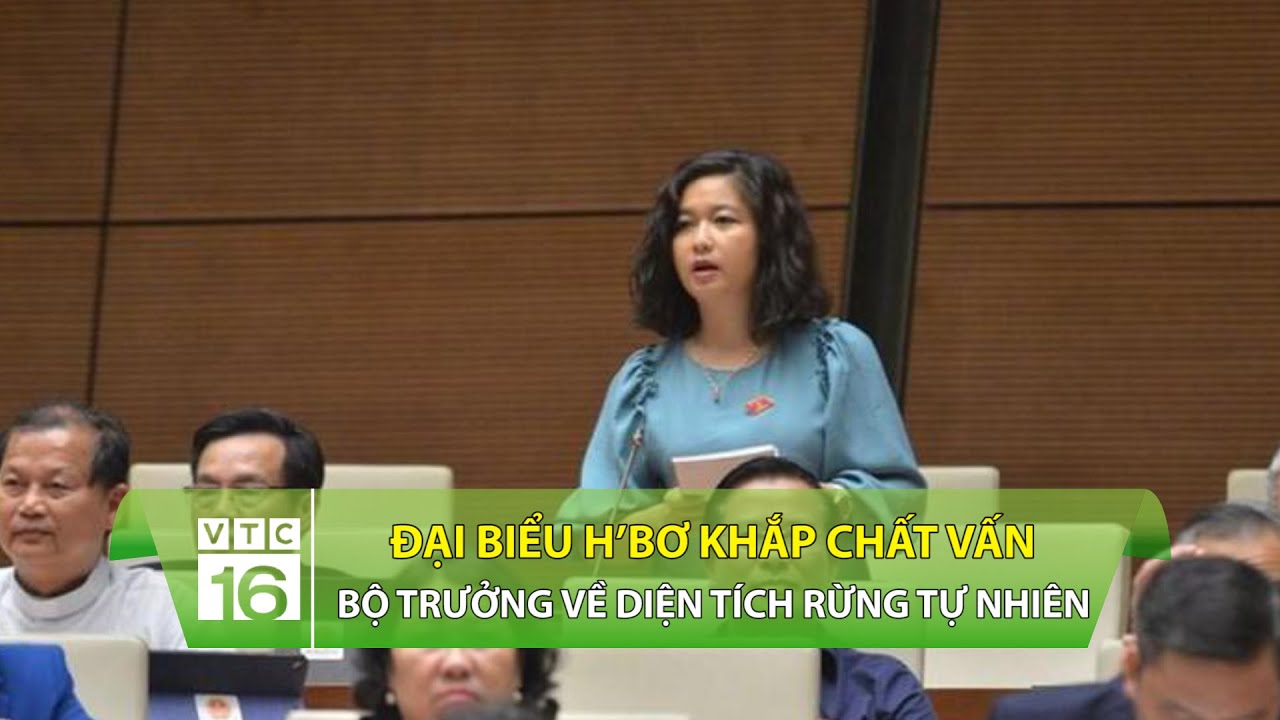 Đại biểu H’Bơ Khắp chất vấn về diện tích rừng tự nhiên | VTC16