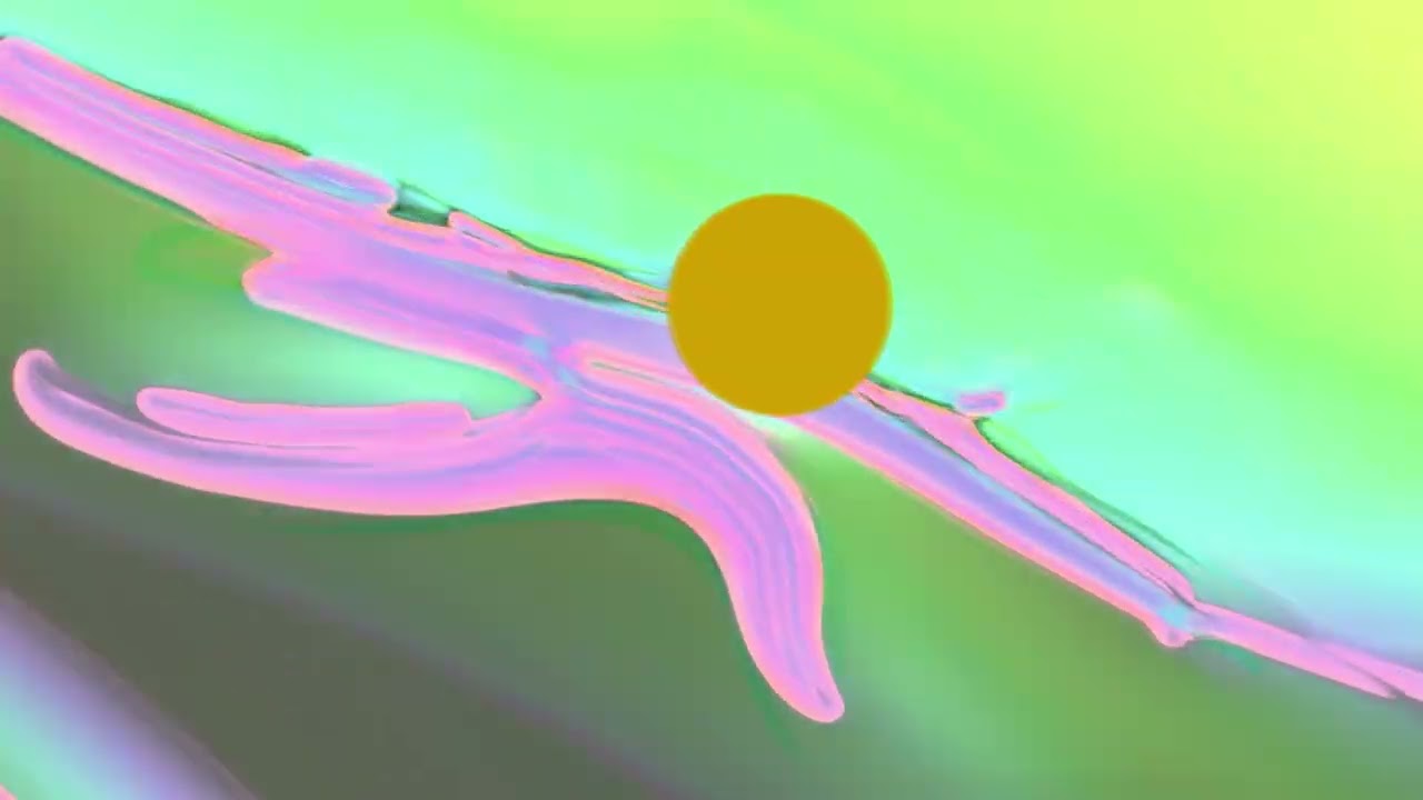 Coronal Mass Ejection . a celebration of our Sun