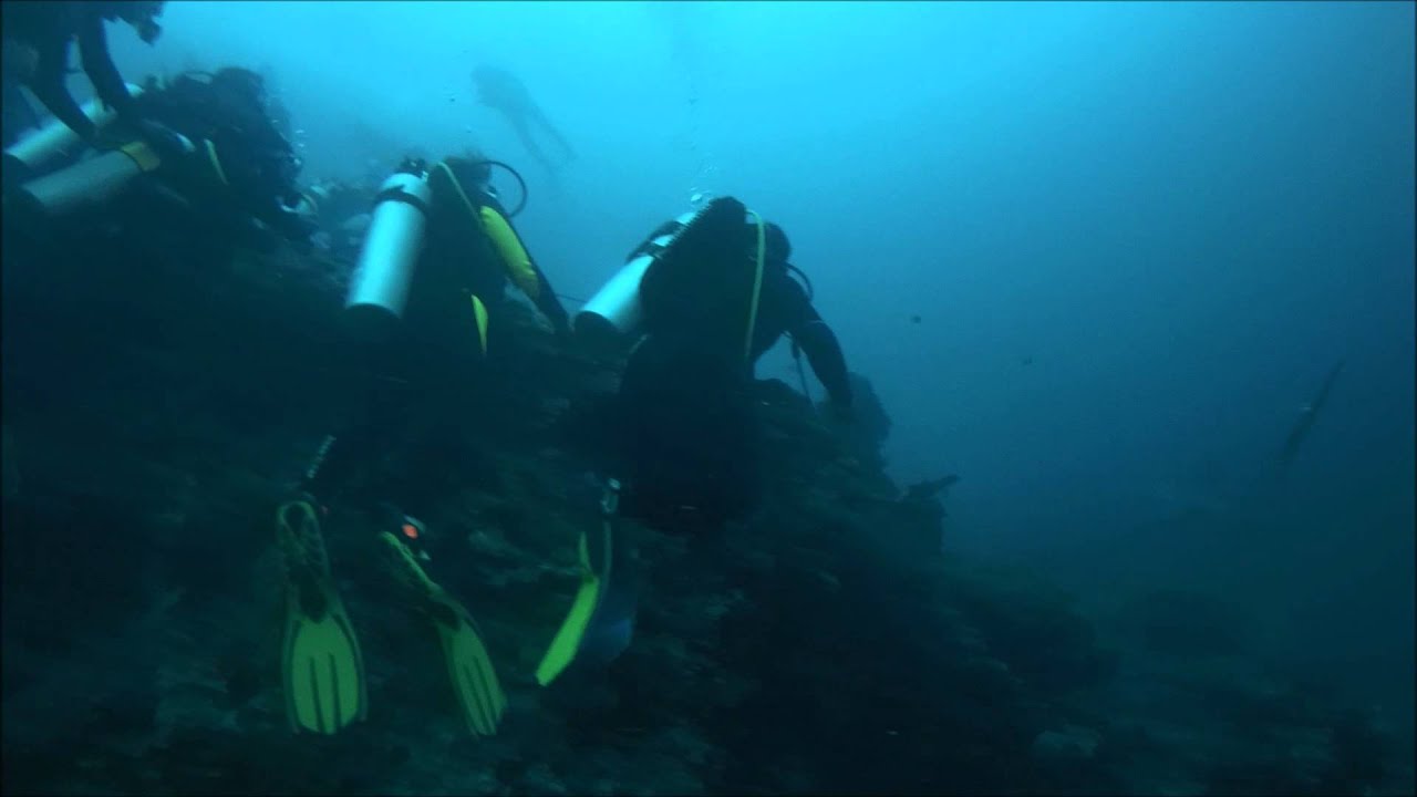 Thresher Cove dive site showcase &ndash; Monad Shoal (Thresher Sharks)