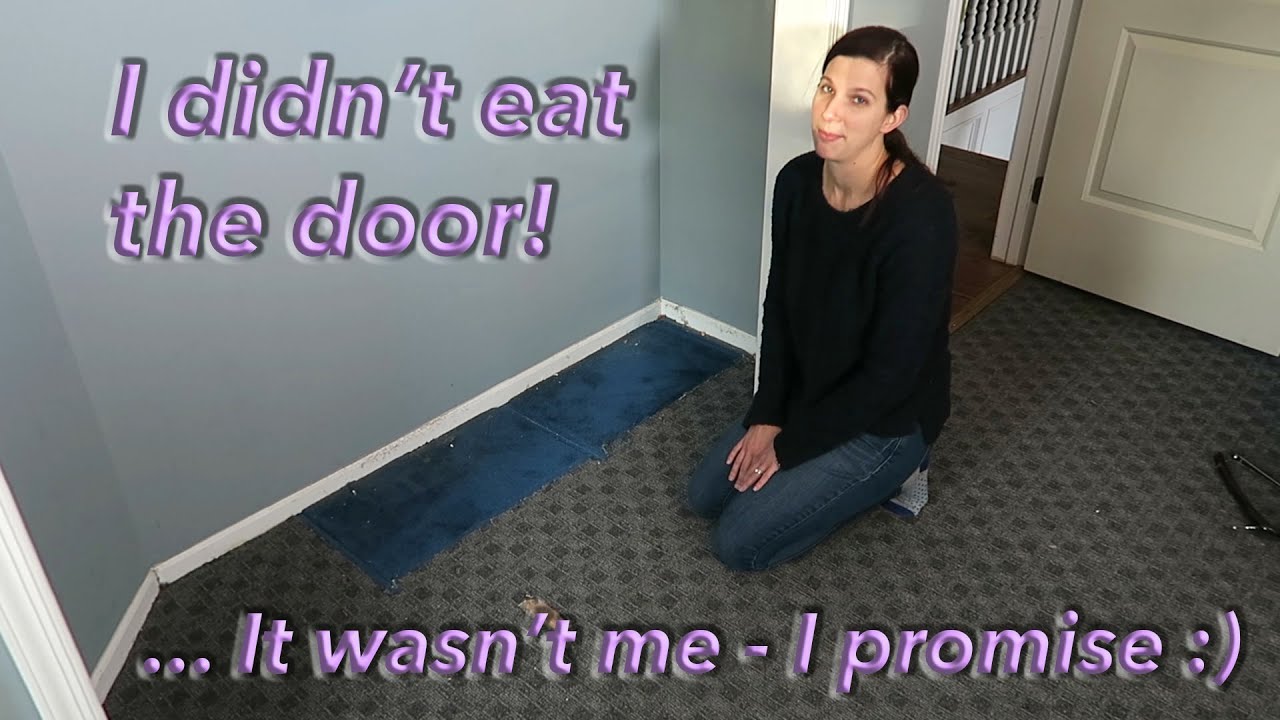 SWBAH Episode 8:  Office Renovation Part 1 - What the hell ate my door?