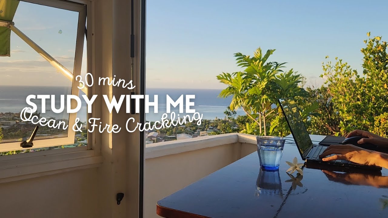 30MIN STUDY WITH ME🌊 Relaxing Waves + 🔥Fireplace  💪 no music  / Business owner & Naturopathy student