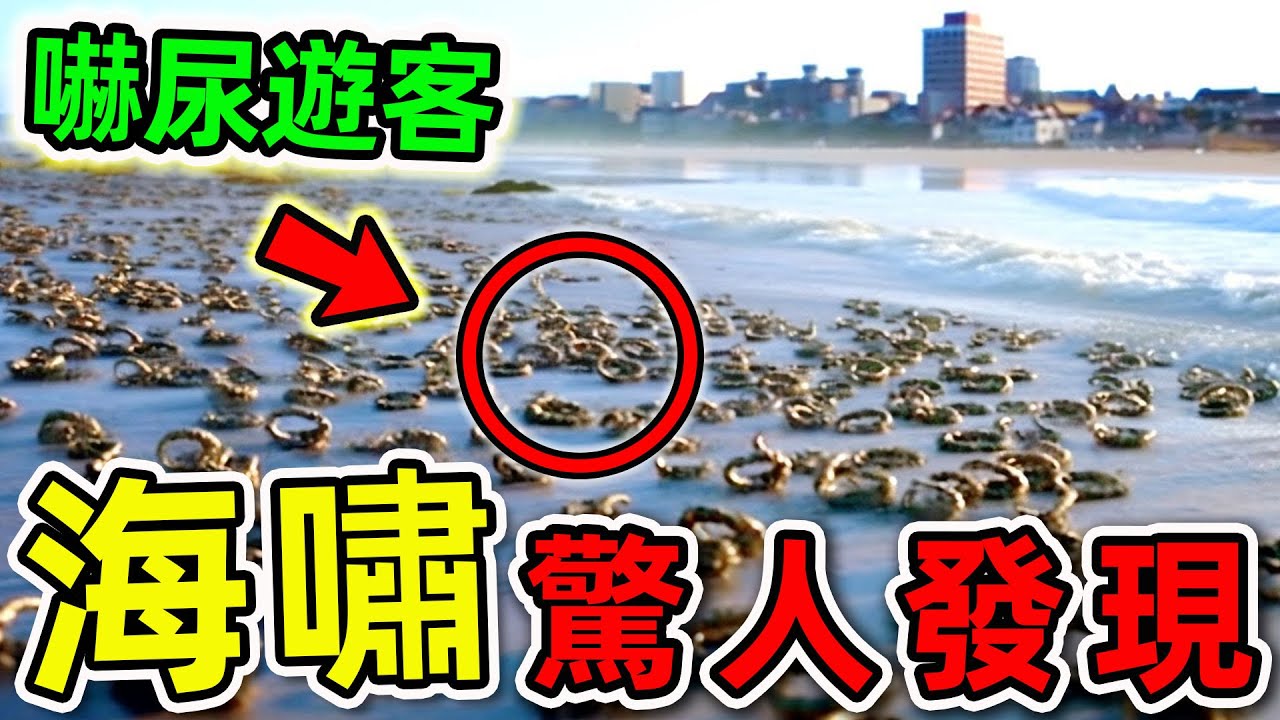海嘯最可怕的10個驚人發現！探險隊意外拍攝的恐怖畫面，第一名科學家直接被嚇壞。|#世界之最top #世界之最 #出類拔萃 #腦洞大開 #top10 #海嘯 #驚人發現