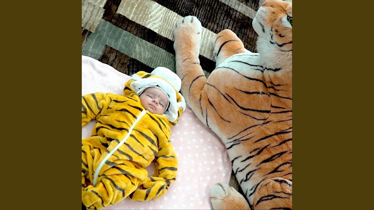 Sidhu Barood Punjabi Song