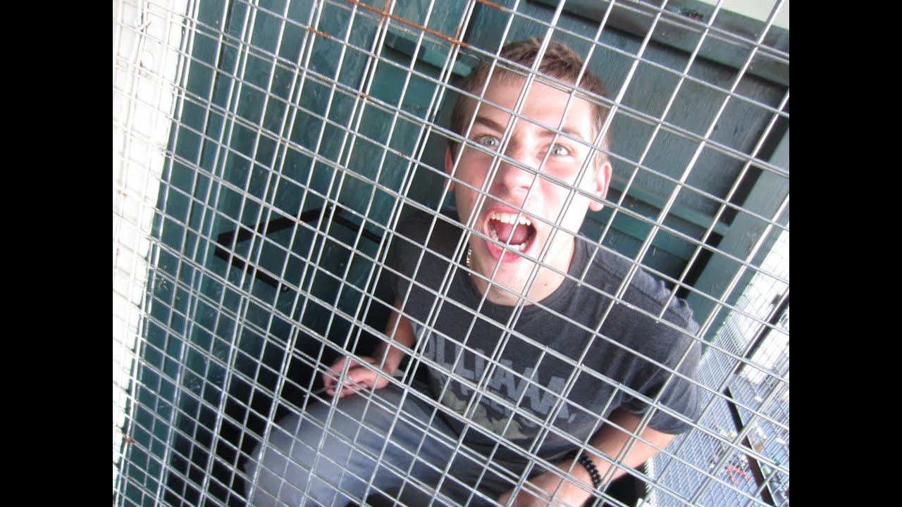TY IS CAGED!