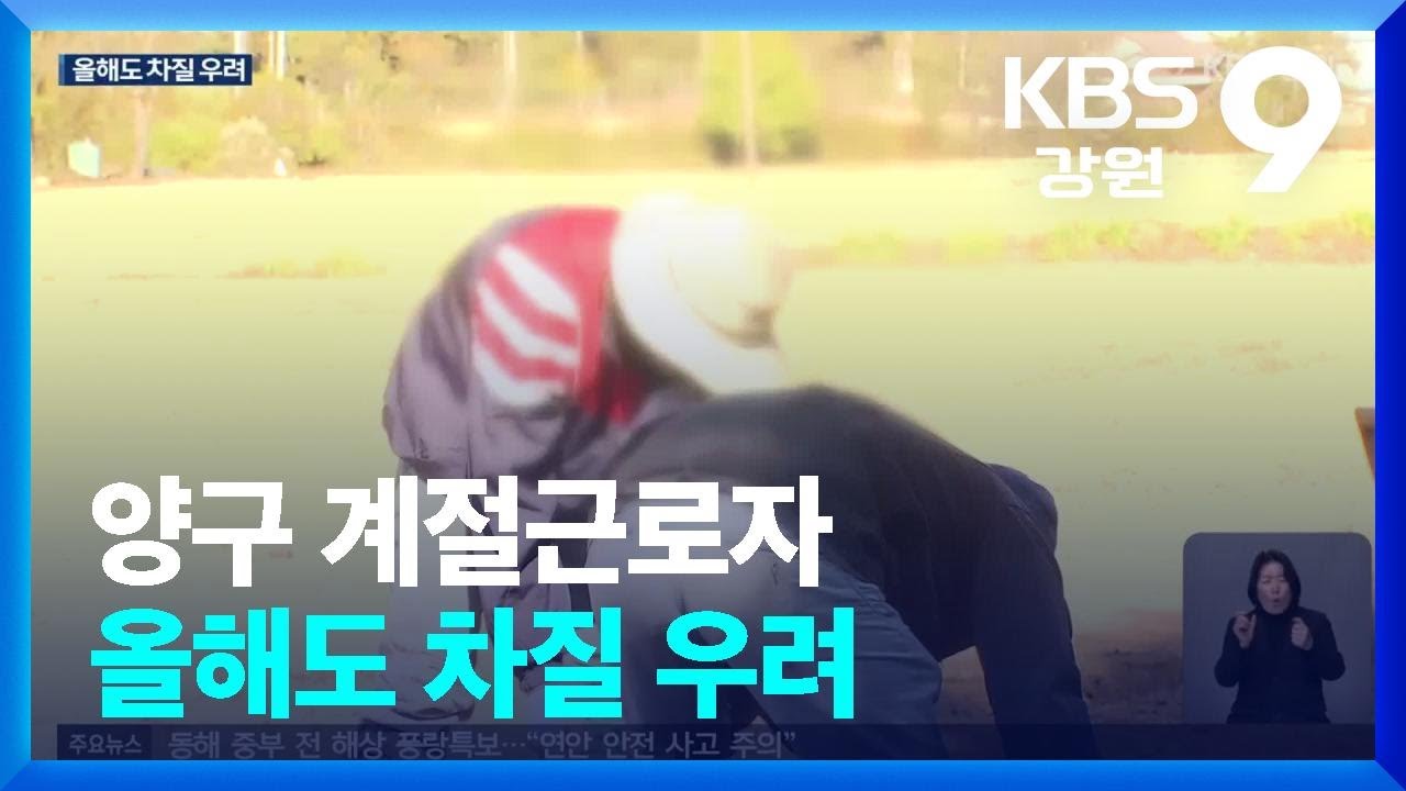 양구, 계절근로자 도입 또 차질…농민 발 동동 / KBS  2026.03.06.
