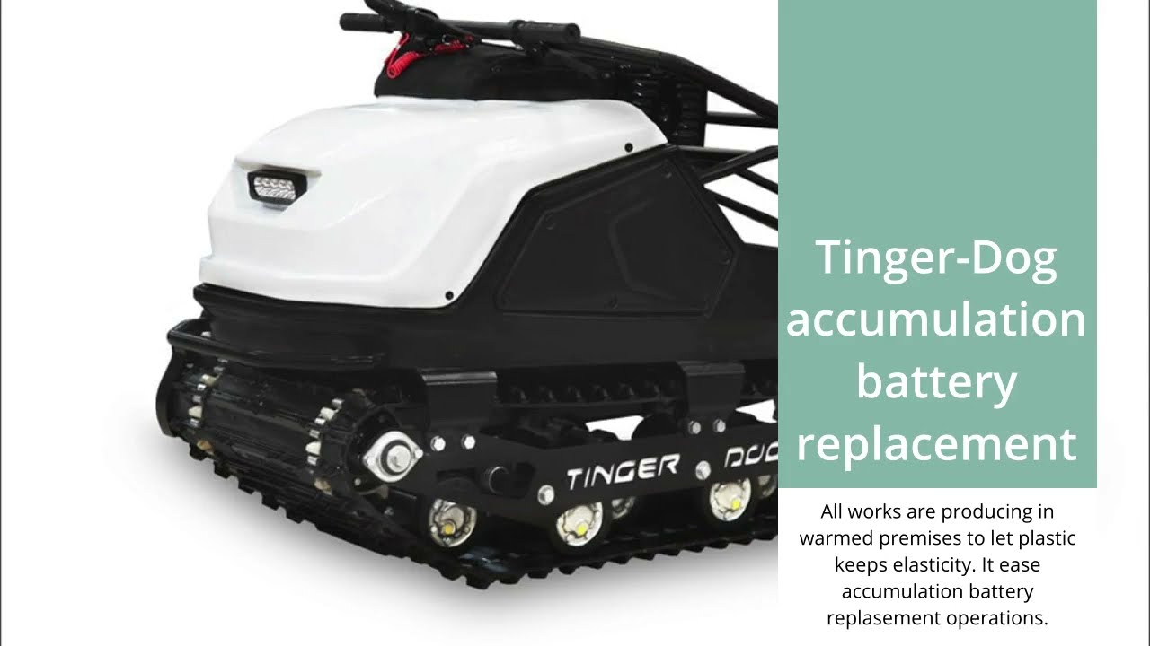 Battery Change Tingerdog
