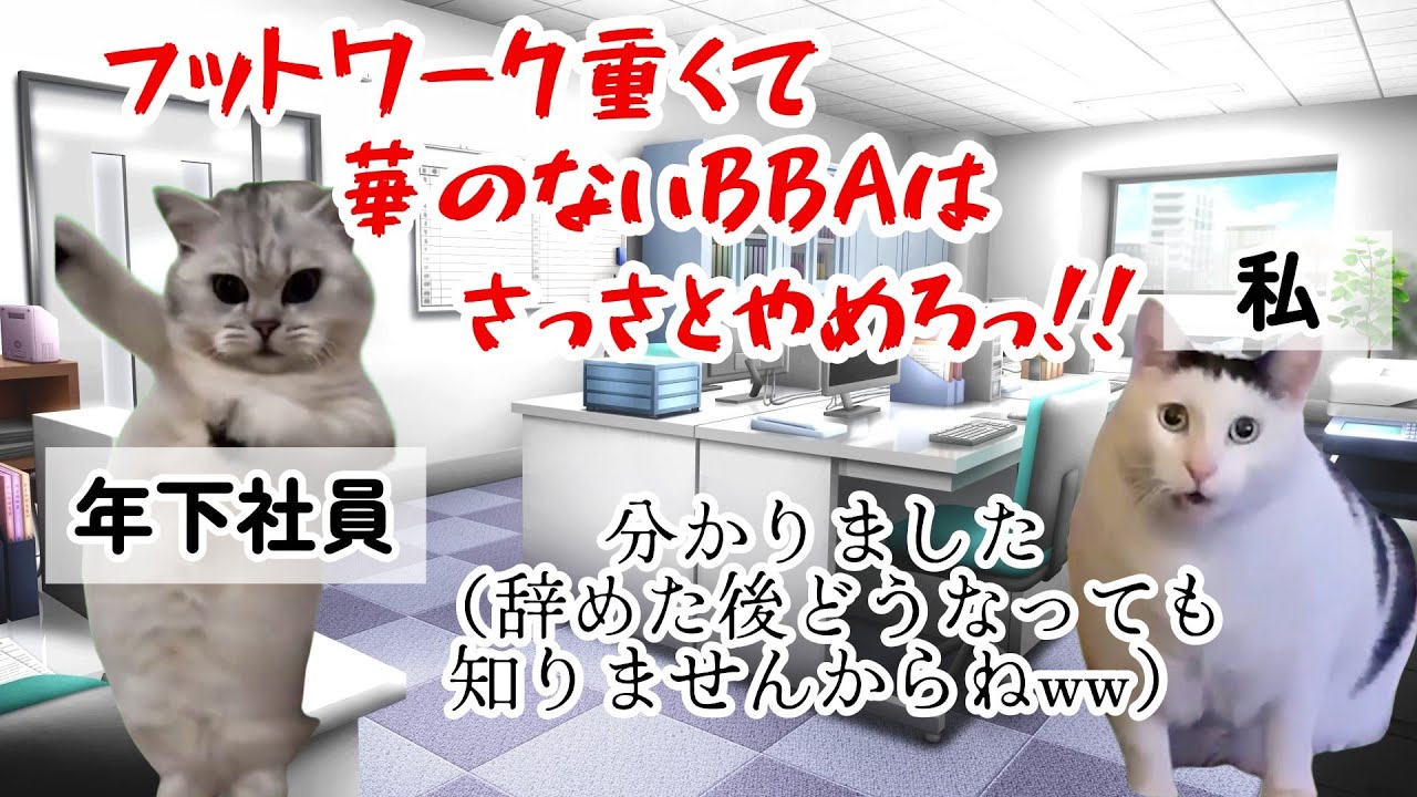 【スカッと猫ミーム】赴任してきた男性年下社員がやりたい放題やるから会社やめたったｗ #猫マニ  #猫ミーム